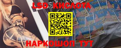 mdpv Новокубанск