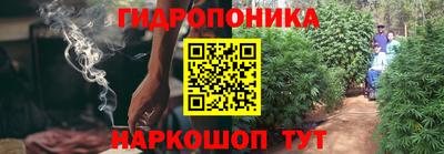 синтетический гашиш Новодвинск