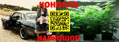 метамфетамин Новозыбков