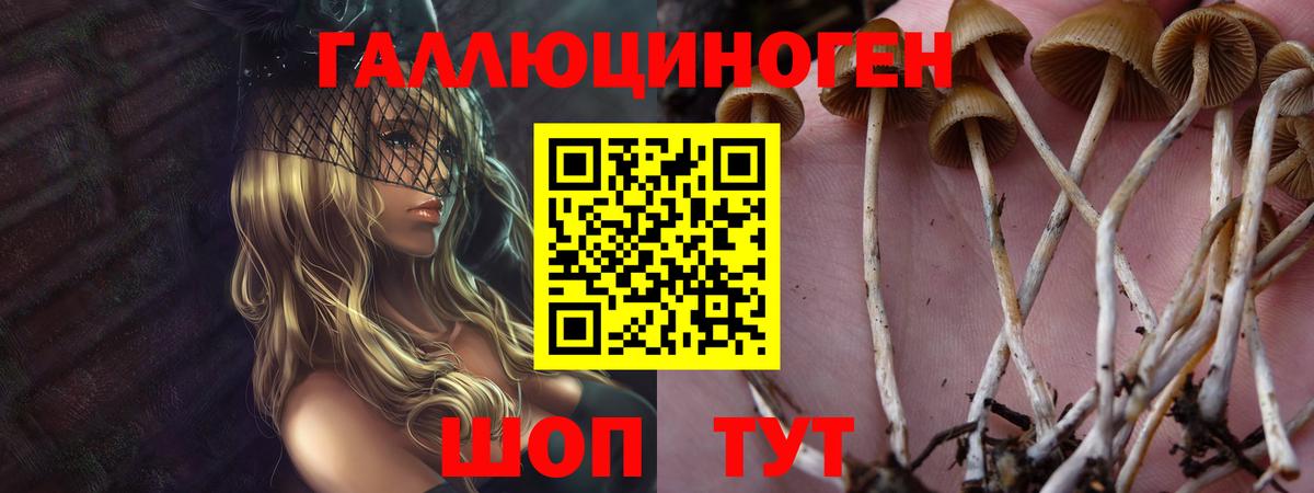 Псилоцибиновые грибы мухоморы  Вход с VPN  Обь 